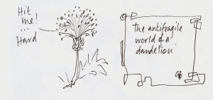 the antifragile world of a dandelion